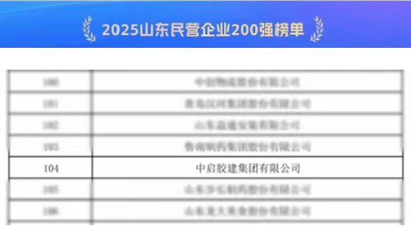 喜報！公司榮登“2025山東民營企業(yè)200強(qiáng)榜單”